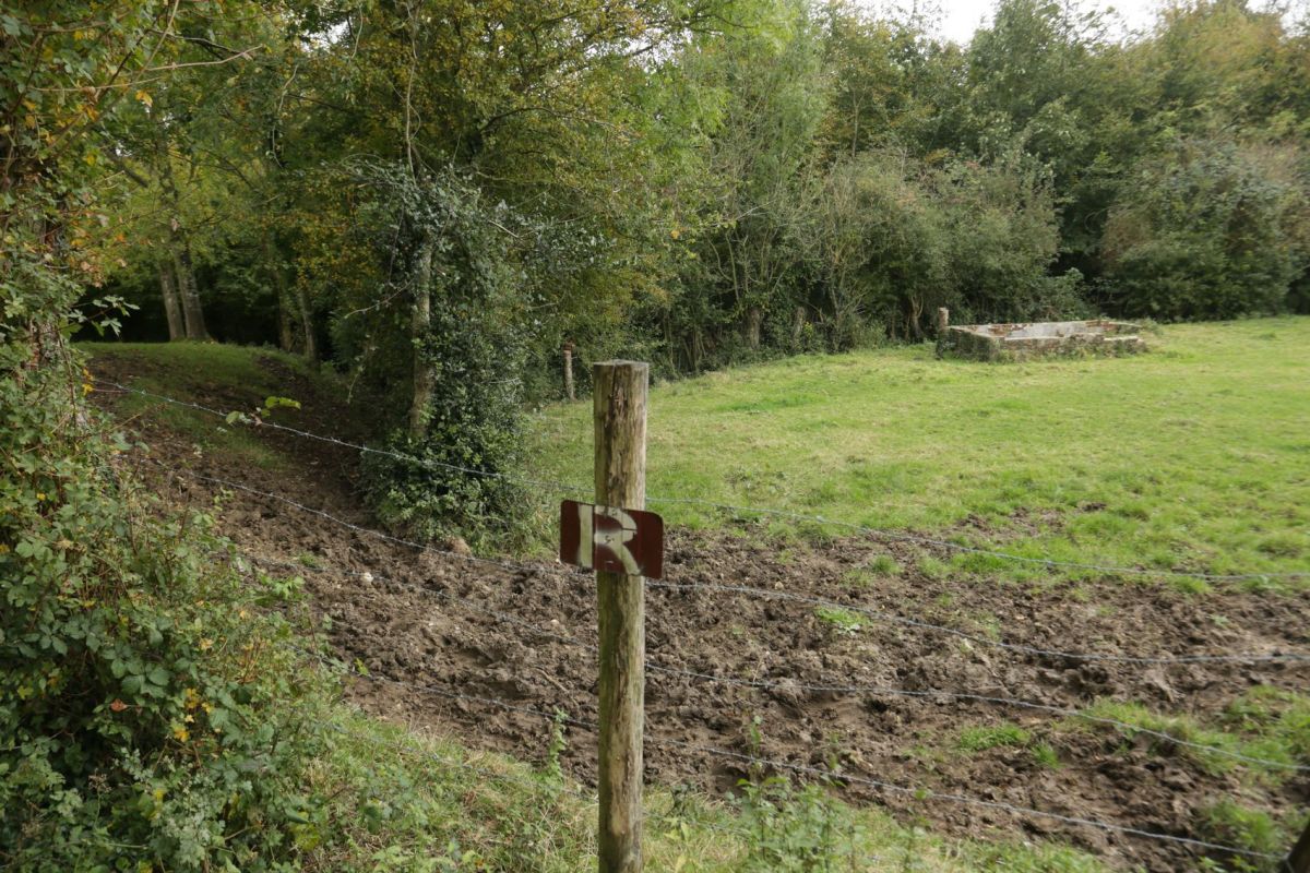 Samedi 23 octobre | Après-midi, poursuivre : la quête de la source du&nbsp;Surgeon