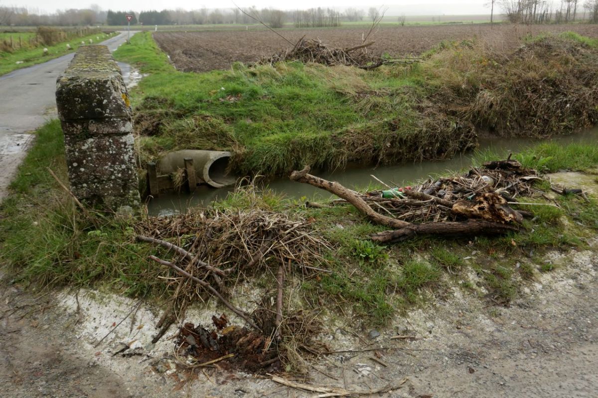 Vendredi 3 décembre | Avec Fabienne, au pays du Mardyck : 2ème sortie autour du marais de&nbsp;Blessy