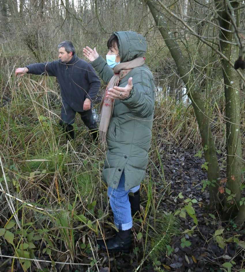 Mercredi 8 décembre | La cressonnière et le&nbsp;marais