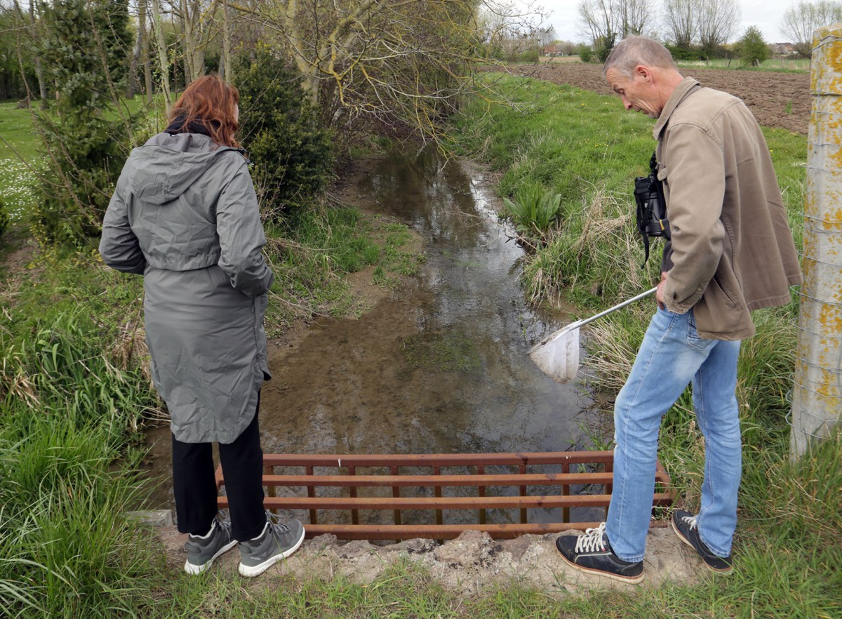 Mercredi 13 avril 2022 | Retour à Mississipi, à la poursuite de la  Lacquette : une nouvelle&nbsp;dérivation