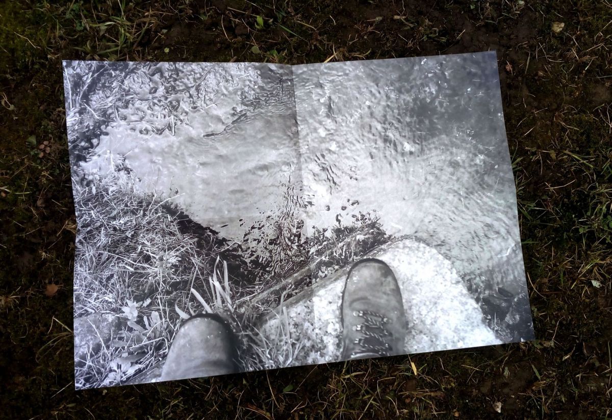 Samedi 9 avril 2022 | Impression de tourner en rond… comme un poisson rouge dans son&nbsp;bocal