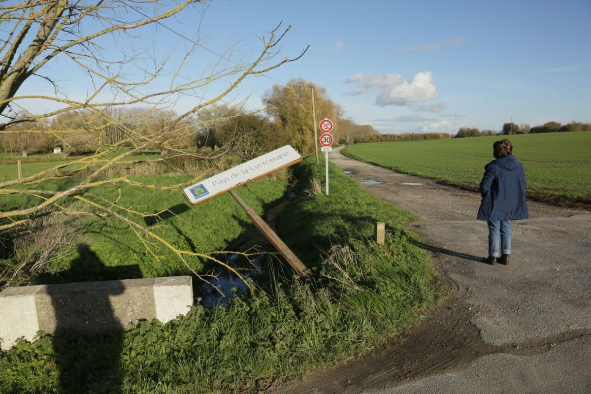 Séjour du 14 au 24 novembre 2022 | Deuxième partie : toujours à la rechercher de lieux, auprès de cours d&rsquo;eau ou sur le bord du&nbsp;bassin